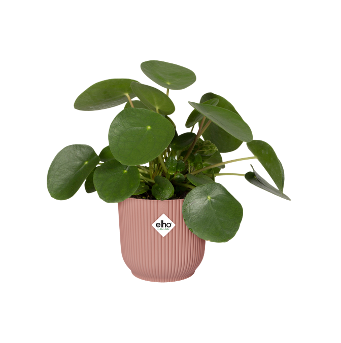 Vaso redondo dobrável Vibes delicado rosa Elho 30 cm