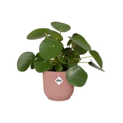 Vaso redondo dobrável Vibes delicado rosa Elho 22 cm