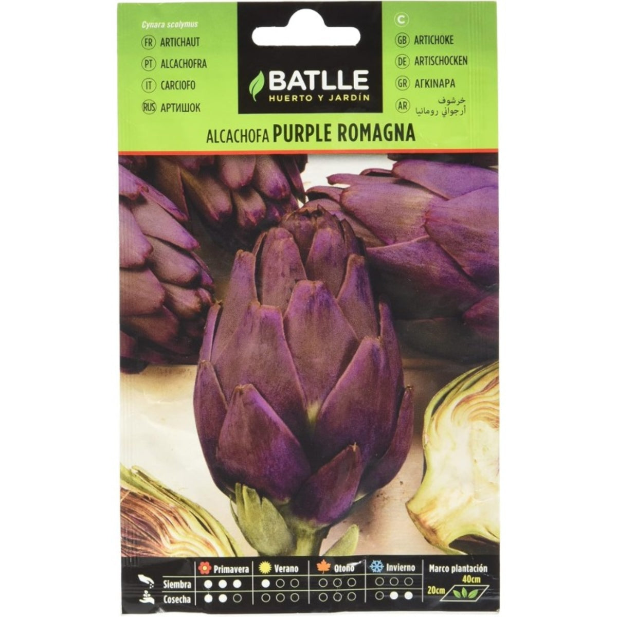 Sementes de Alcachofra Romagna Batlle Roxa