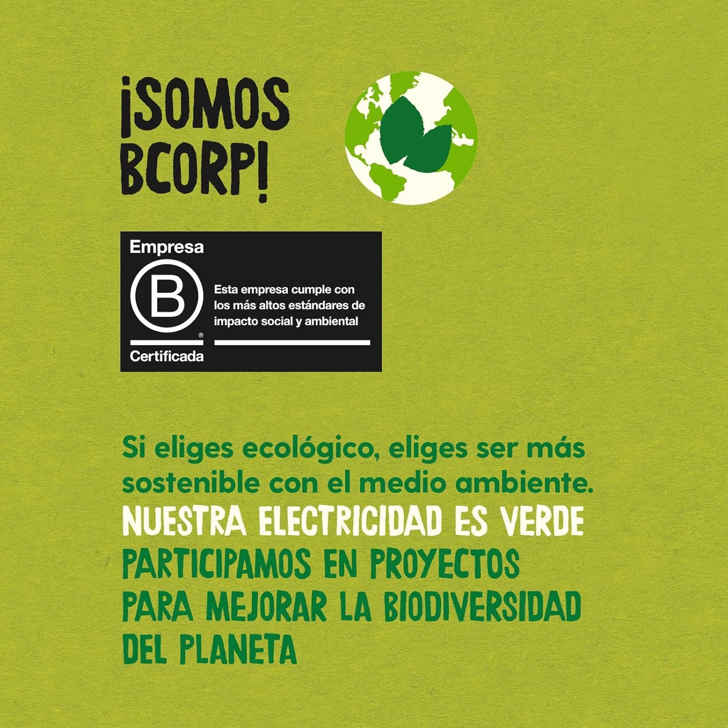 Flocos de Aveia Integral Biológica Ecocesta 800 g