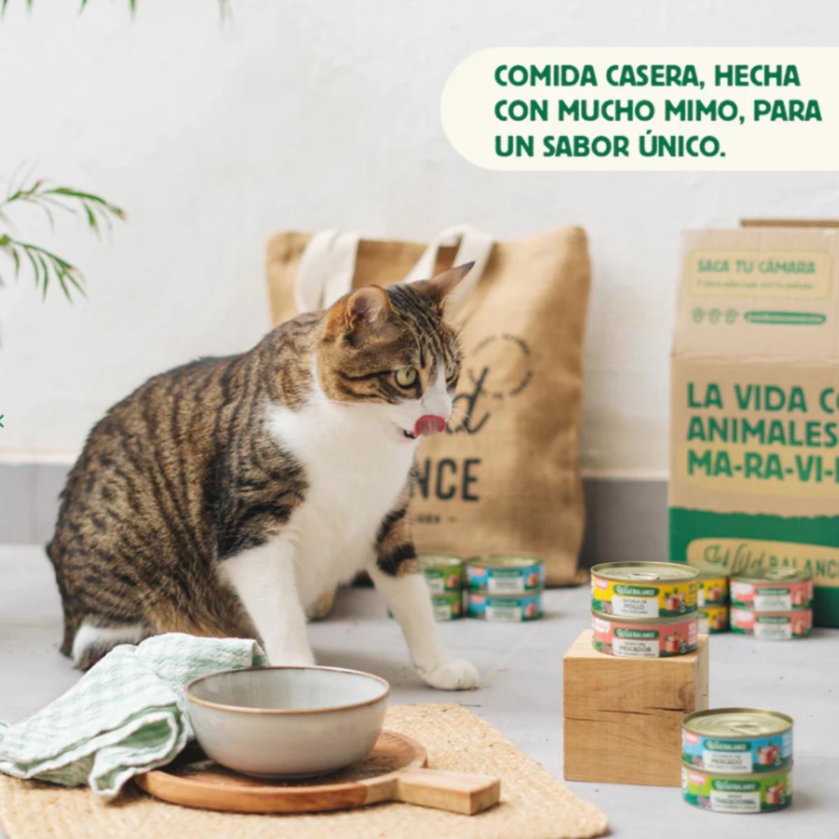 Ragu Tradicional de Carne e Frango Equilíbrio Selvagem para Gatos 6 x 80 g
