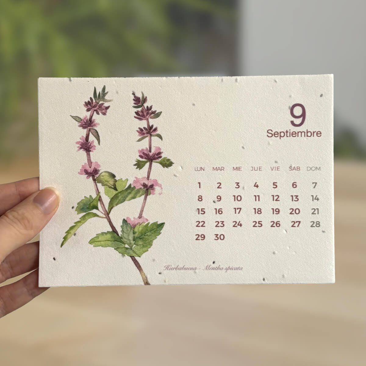 Calendário plantável de Natal 2026 Planeta Huerto Transforme o tempo em natureza