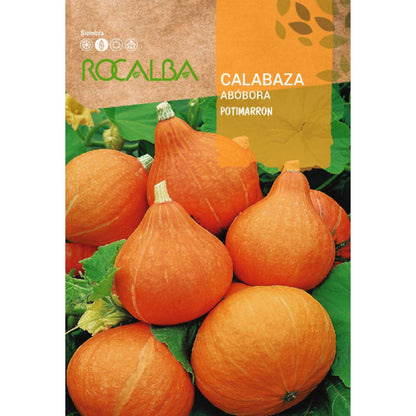 Sementes de abóbora Potimarron