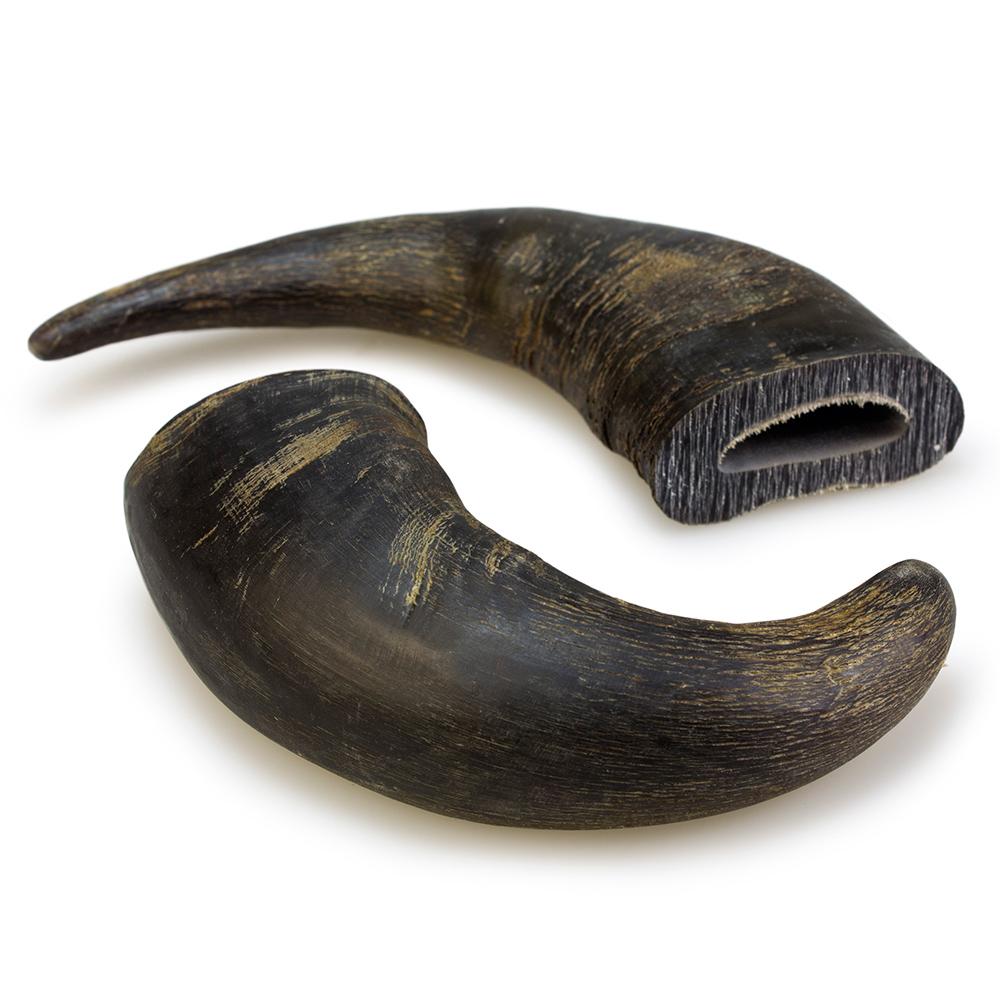 Petisco natural para cães Chifre de búfalo Arquivet 1 unidade
