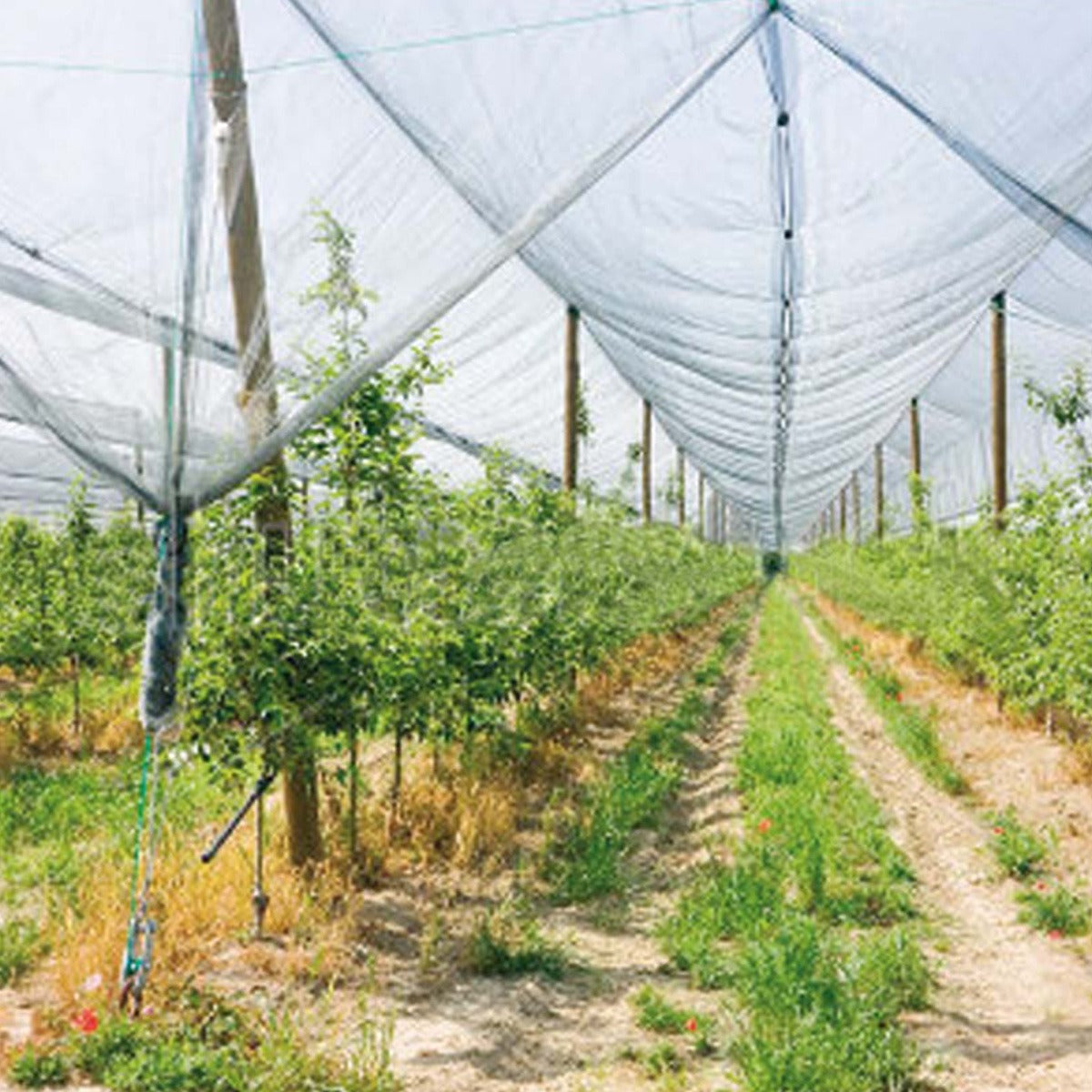 Tela anti-granizo Verdemax 4 x 10 m