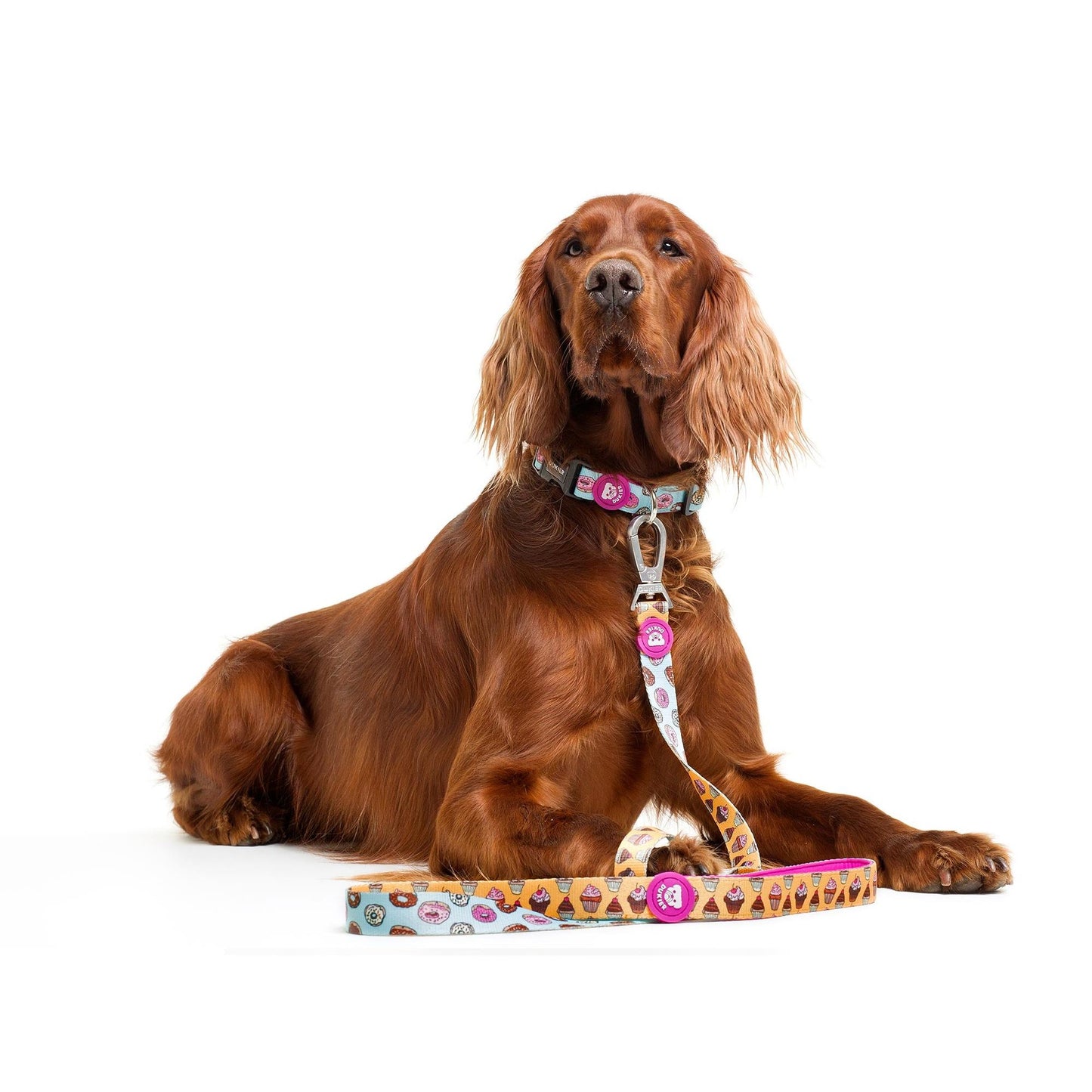 Coleira para Cão Dukier Cupcakes - Tamanho XS