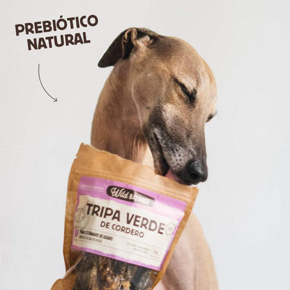 Pacote de Saúde Oral Wild Balance