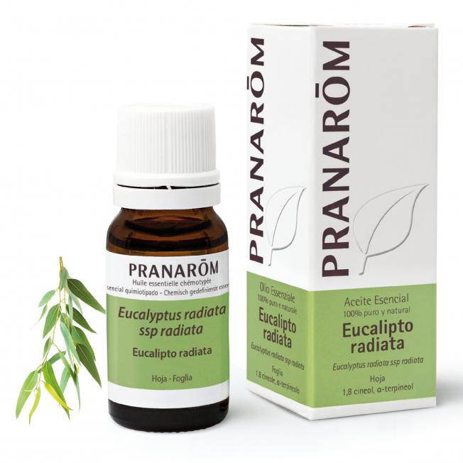 Óleo Essencial Orgânico de Eucalipto Radiata Pranaróm 10 ml
