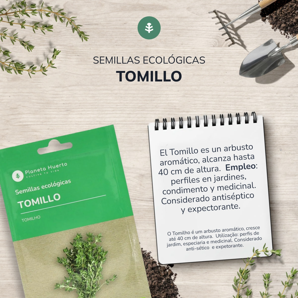 Sementes de Tomilho Biológico da Planeta Huerto