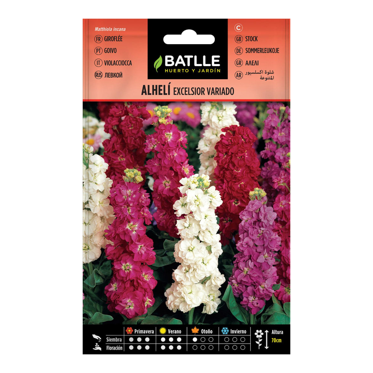 Sementes de Wallflower Variegada Excelsior Gigante Batlle