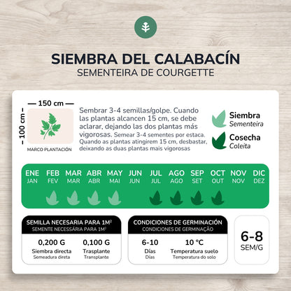 Sementes de Curgete Preta Biológica Planeta Huerto