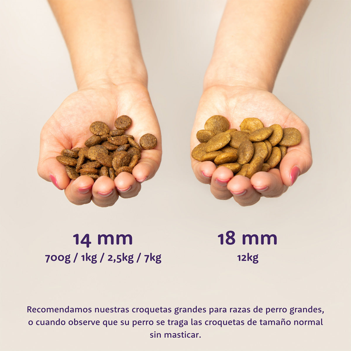 Ração Edgard &amp; Cooper Free Range Chicken para cães 1 kg