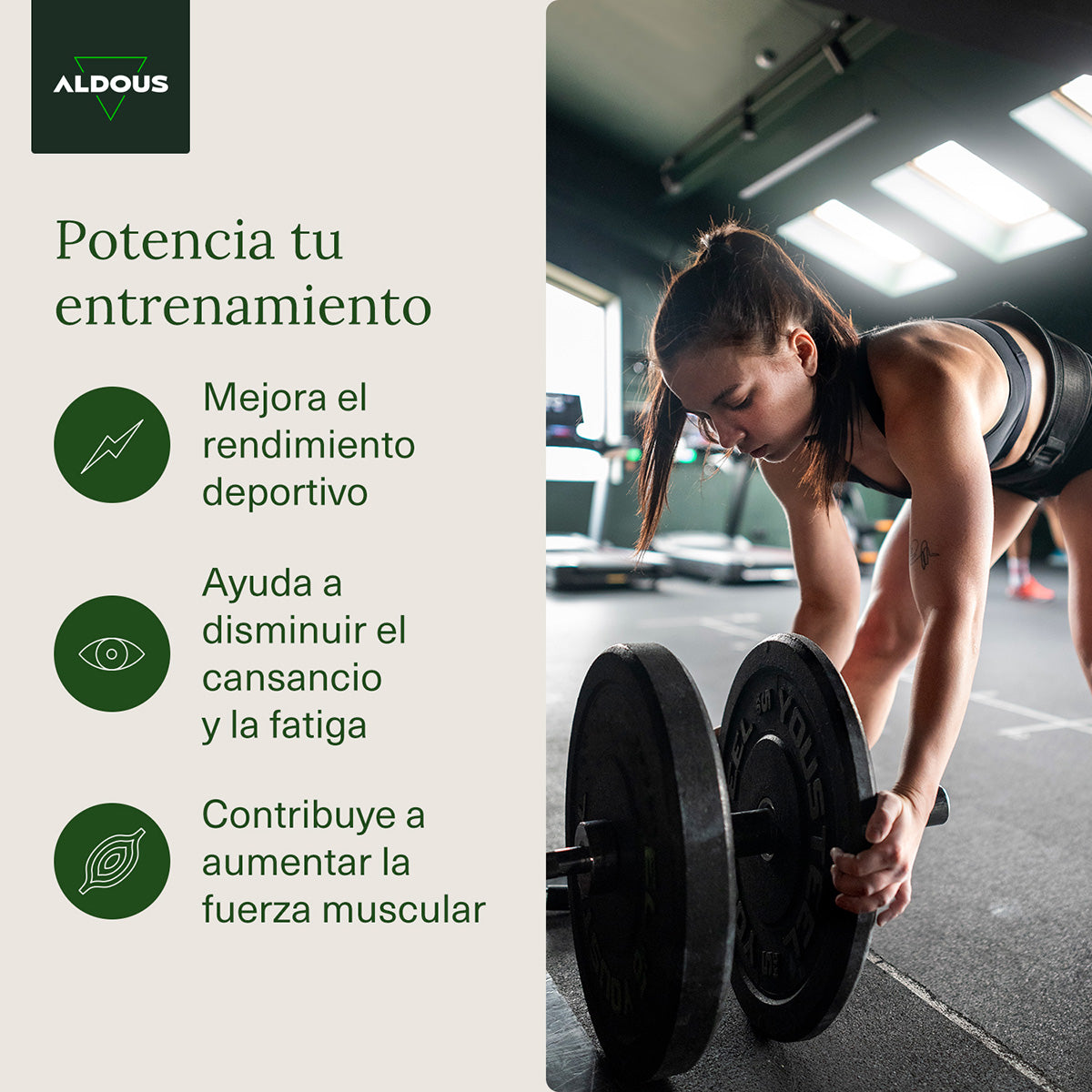 Aldous Creatina Monohidrato 3000 mg 200 comprimidos