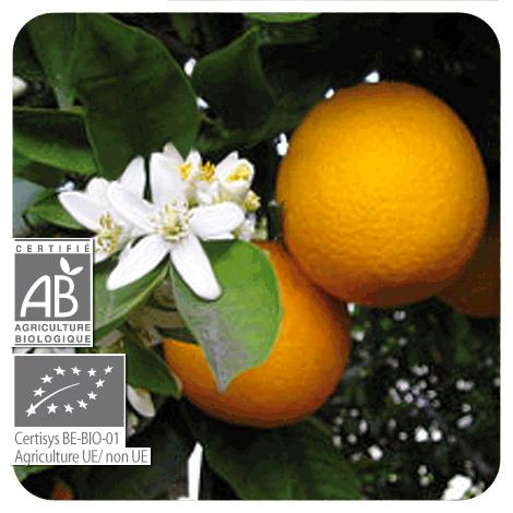 Óleo Essencial de Laranja Doce BIO Pranarom 10 ml