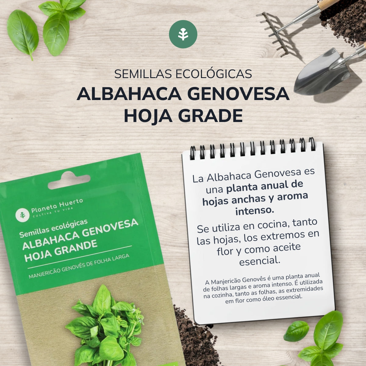 Sementes de manjericão genovês biológico Planeta Huerto