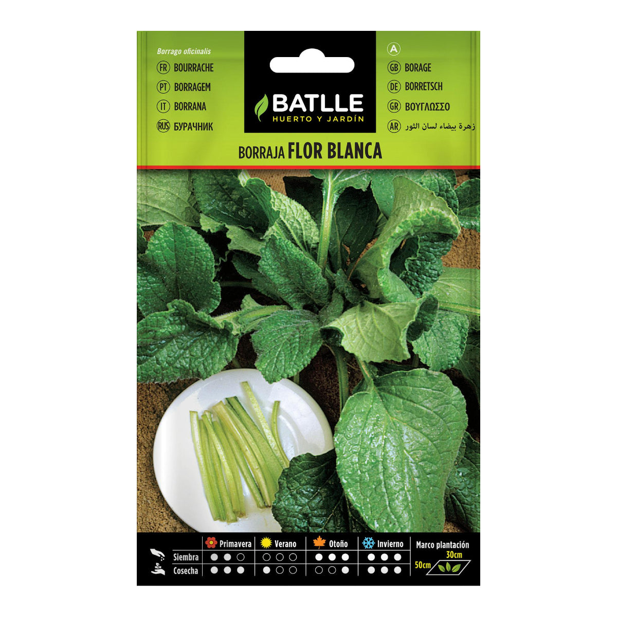 Sementes de borragem de flor branca Batlle