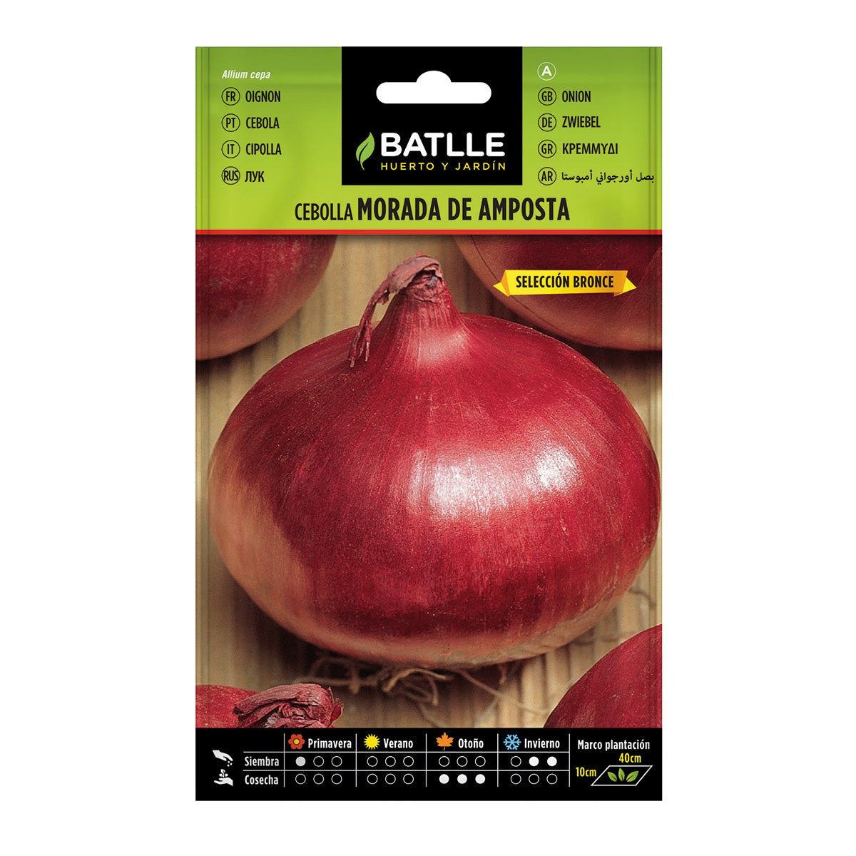 Sementes de cebola roxa Amposta, Bronze Batlle