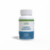 Milk Thistle 500mg Sotya 100 comprimidos