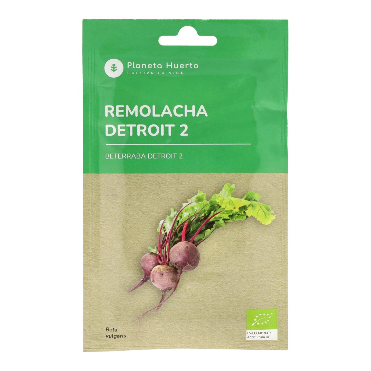 Sementes de beterraba biológica Detroit 2 da Planeta Huerto