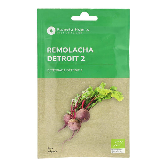 Sementes de beterraba biológica Detroit 2 da Planeta Huerto