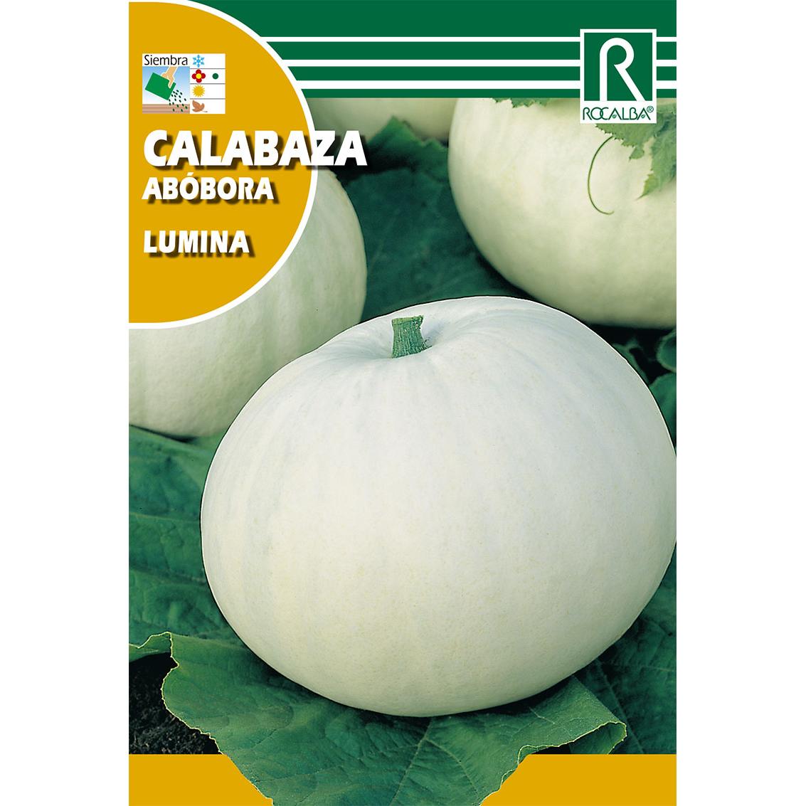 Sementes de abóbora Lumina