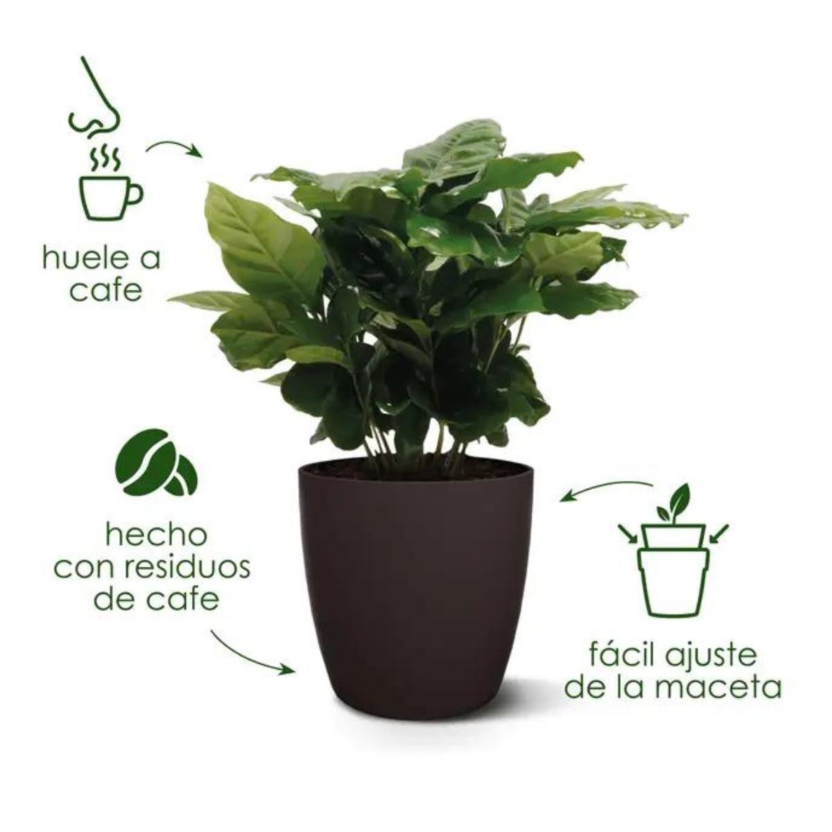 Coleção Elho Coffee Vaso Redondo Reciclado 22 cm