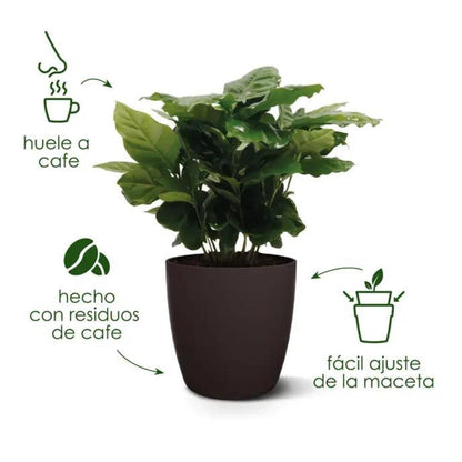 Coleção Elho Coffee Vaso Redondo Reciclado 18 cm