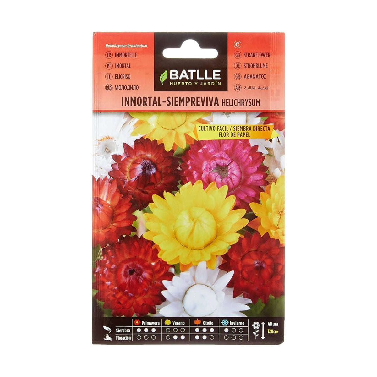 Sementes imortais eternas de flores de papel Batlle