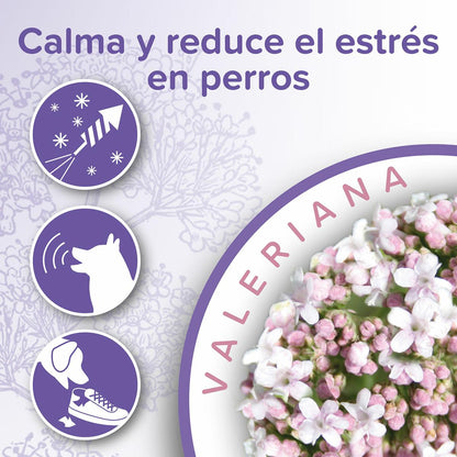 Coleira calmante natural Beaphar para cães 65 cm