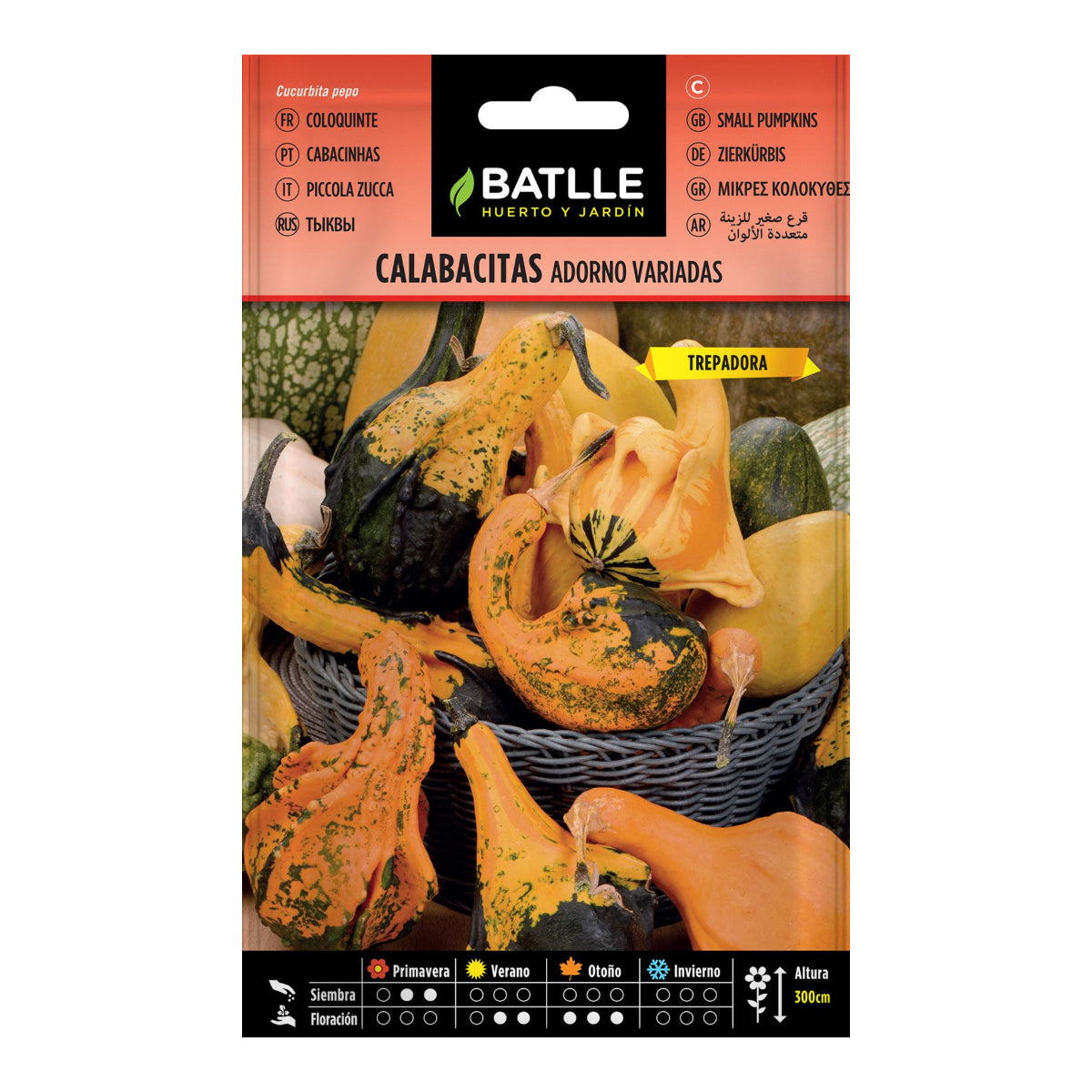 Enfeite de Sementes de Courgette Batlle