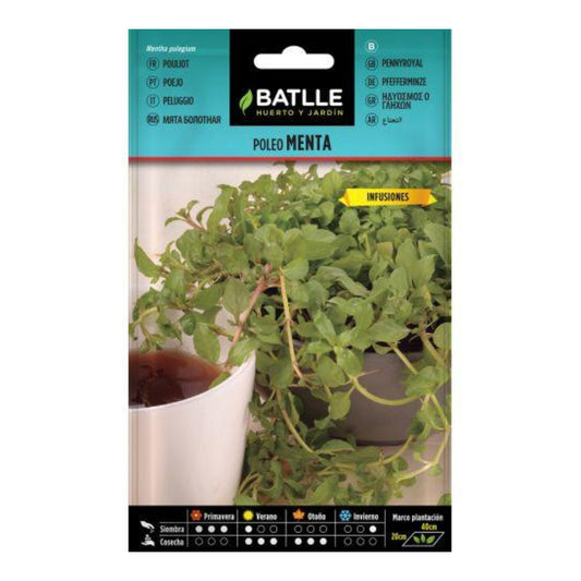 Sementes de hortelã Pennyroyal Batlle
