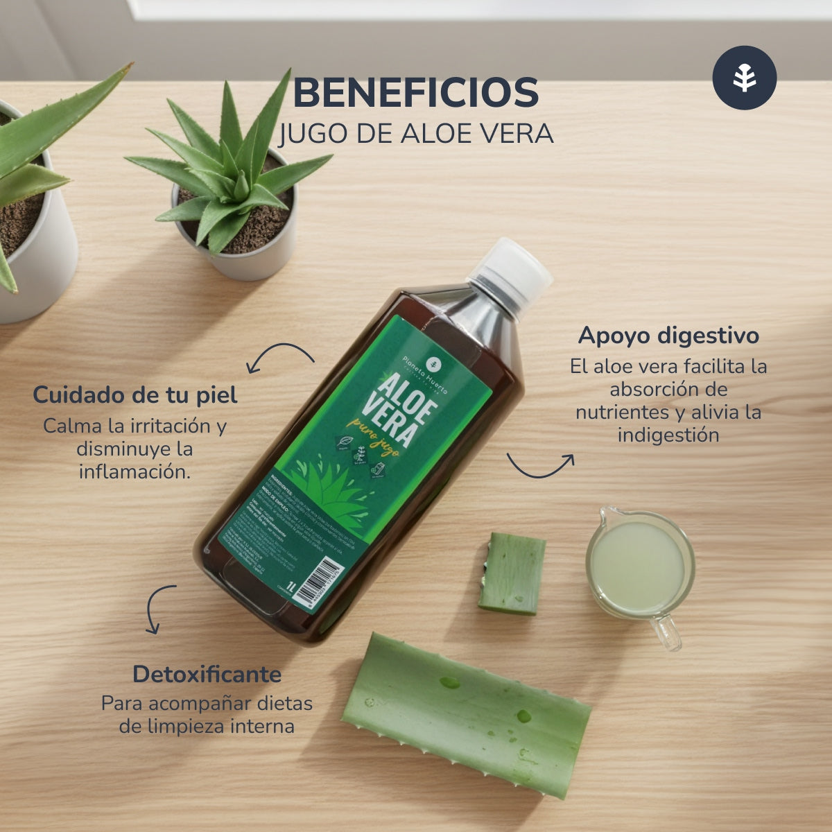 Sumo de Aloé Vera Planeta Huerto 1 L.
