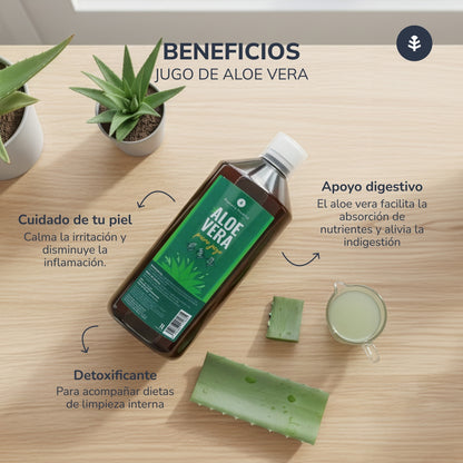 Sumo de Aloé Vera Planeta Huerto 1 L.