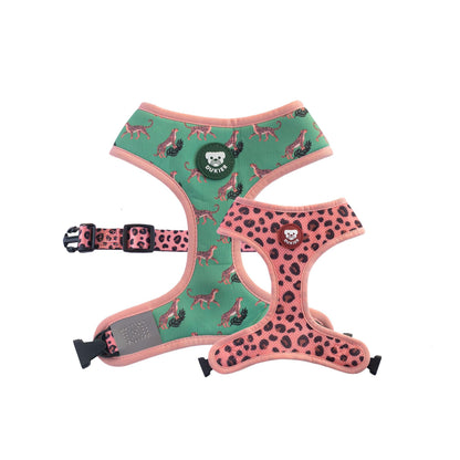 Peitoral reversível para cães Dukier LEOPARD
