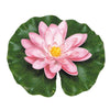 Nenúfar rosa com gotas