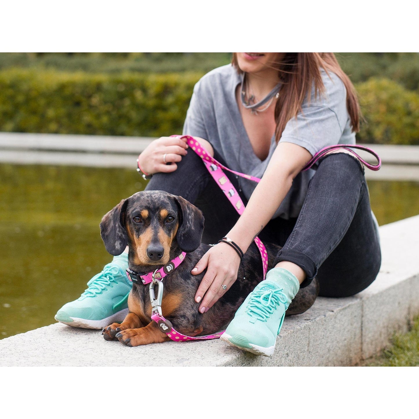DOGTELLA Dukier Classic Peitoral para Cães