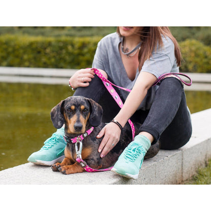 DOGTELLA Dukier Classic Peitoral para Cães