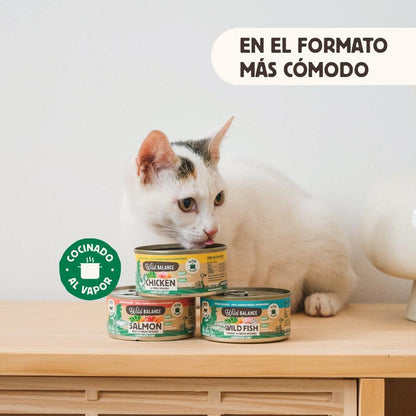 Pacote de latas de frango BARF para gatos 6 x 120 g Wild Balance