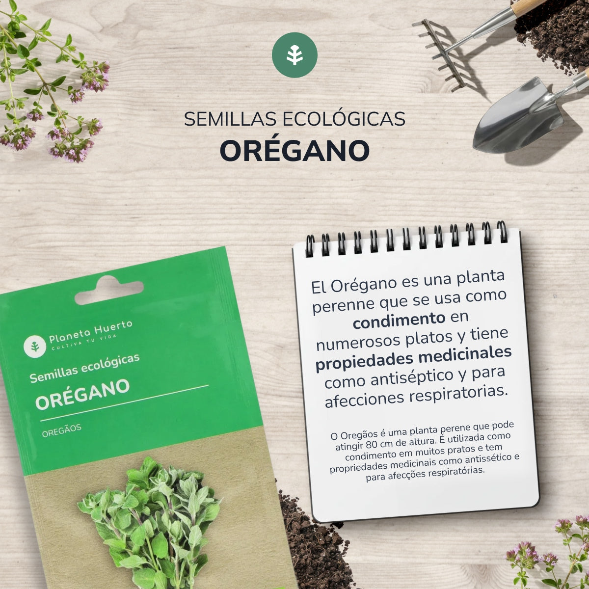 Sementes de orégãos biológicos da Planeta Huerto