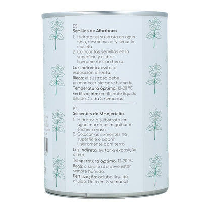 Kit de cultivo de manjericão aromático Planeta Huerto