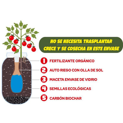 Kit de cultivo interior para tomate cereja