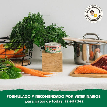 Ração enlatada BARF Wild Balance Salmão e Carne para gatos 6 x 120 g