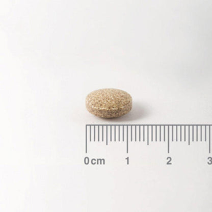 Ginkgo Biloba Lamberts 6000 mg Lamberts