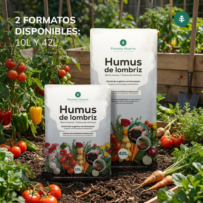 Pack grande “Mi mesa de cultivo de otoño”