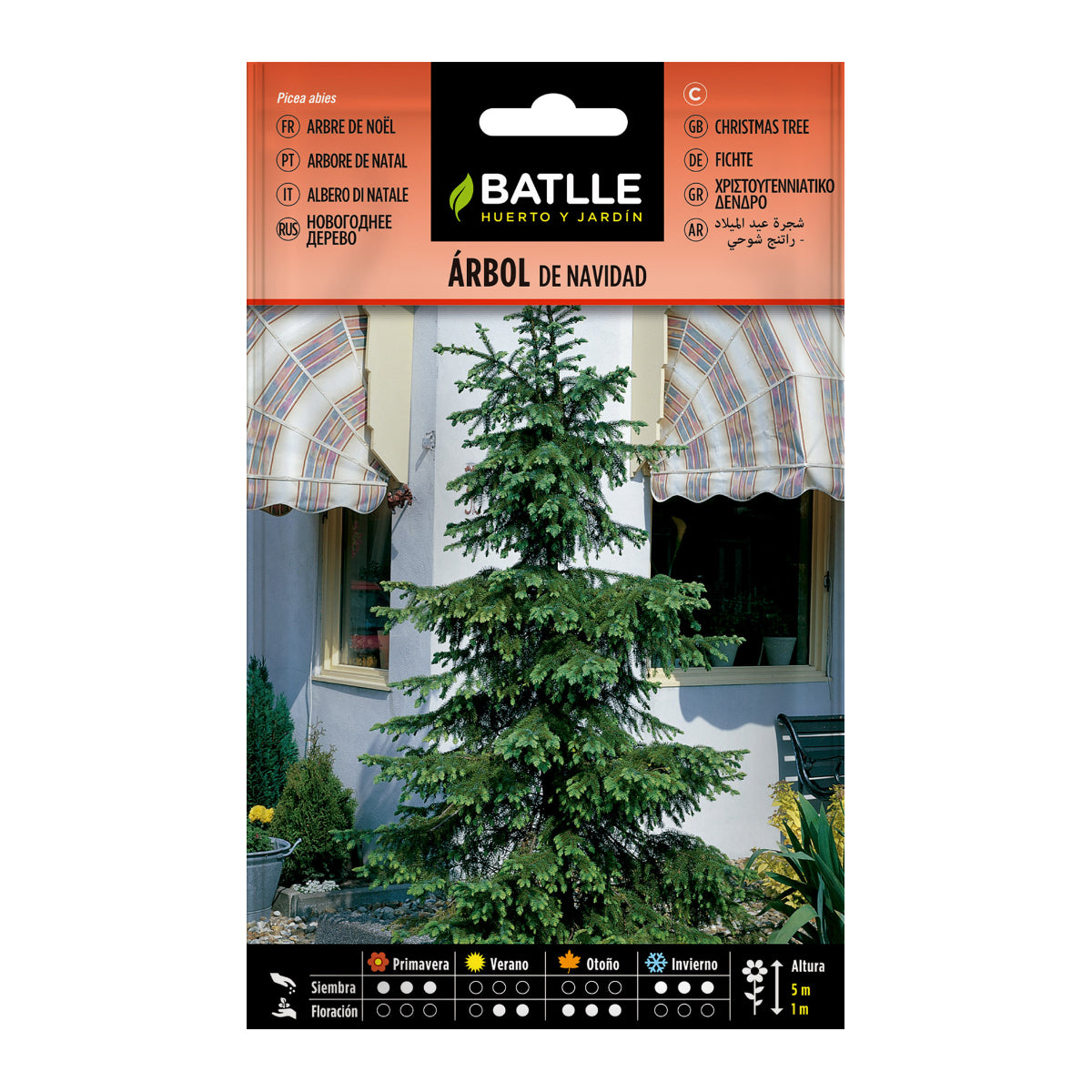 Sementes de árvore de Natal Batlle