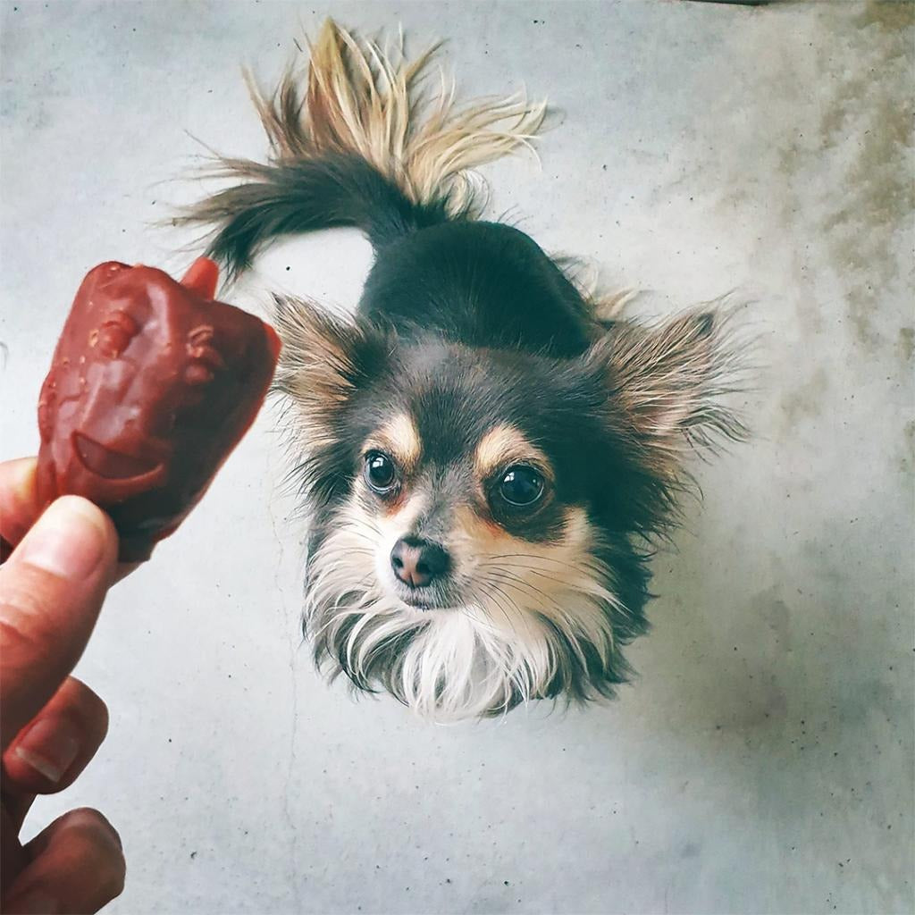 Snack para cães Garden Bites Veggie Friends S 18 unidades Duvo