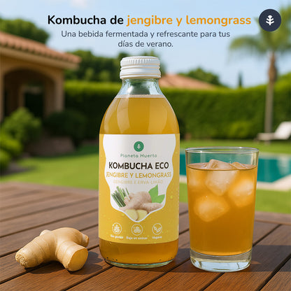 Kombucha ECO Gengibre e erva-príncipe Planeta Huerto 330 ml