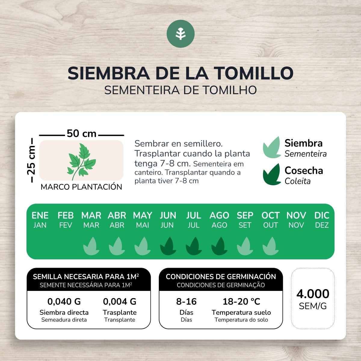 Sementes de Tomilho Biológico da Planeta Huerto