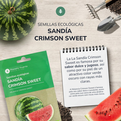 Sementes de melancia orgânicas Crimson Sweet da Planeta Huerto