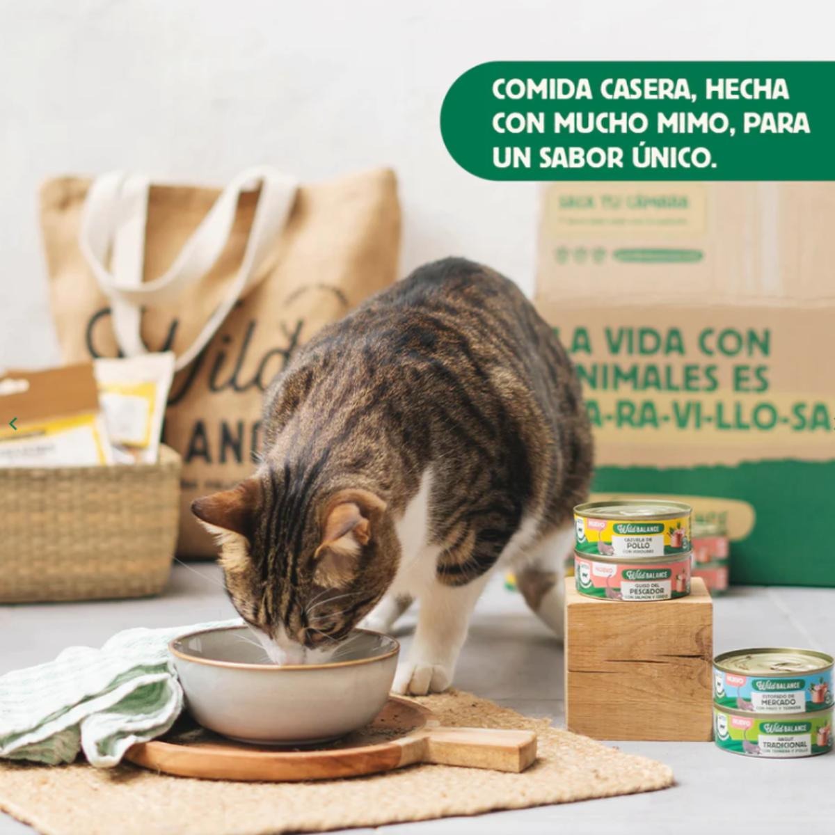 Pack Estofado de mercado con pavo y ternera para gatos 6 x 80 g Wild Balance